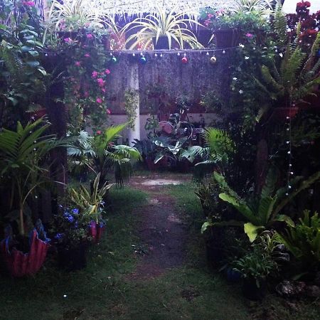 Shukran Apartelle ซีคีฮอร์ ภายนอก รูปภาพ